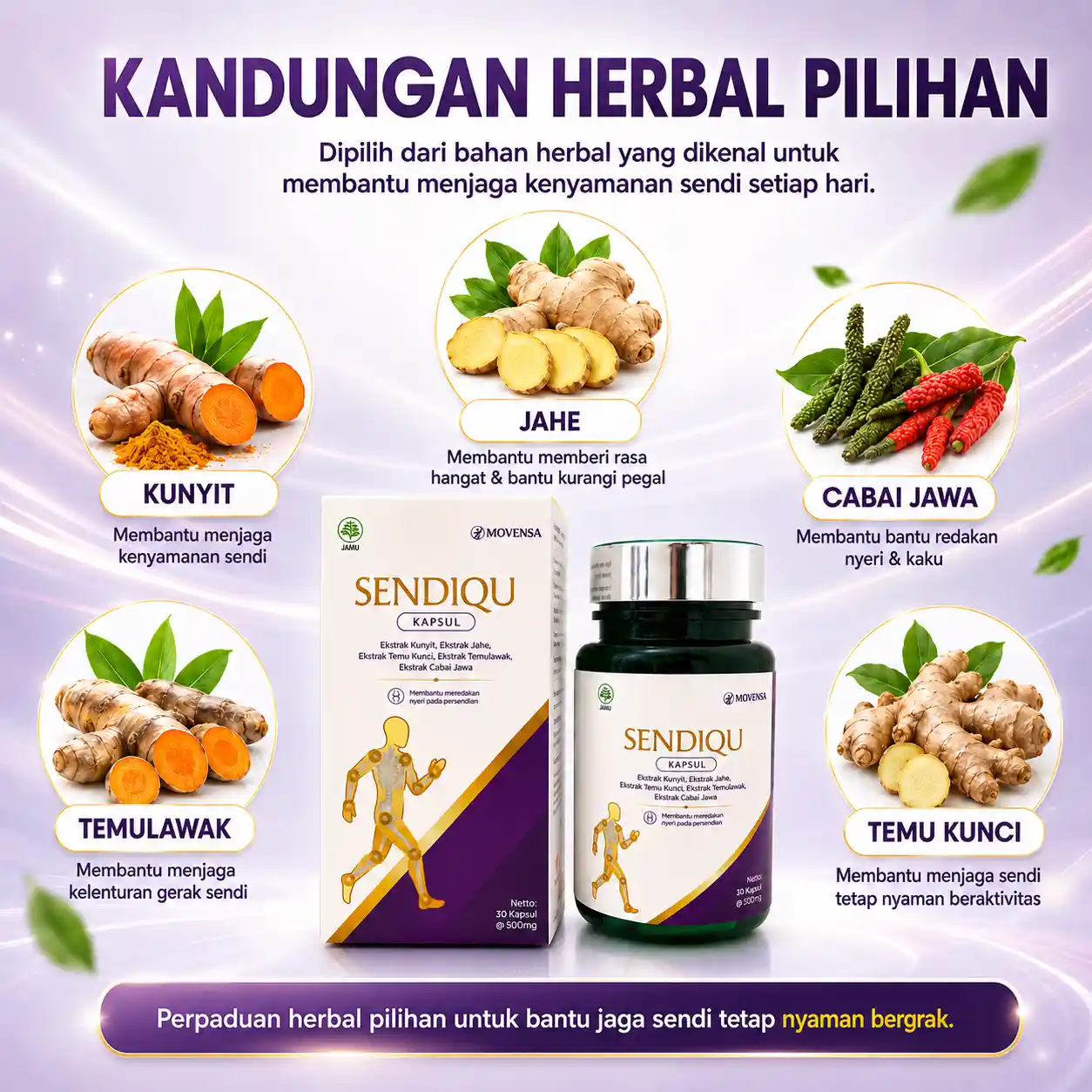 Sendiqu 5