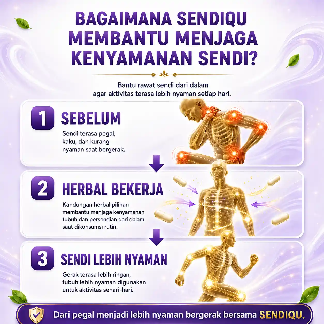 Sendiqu 6