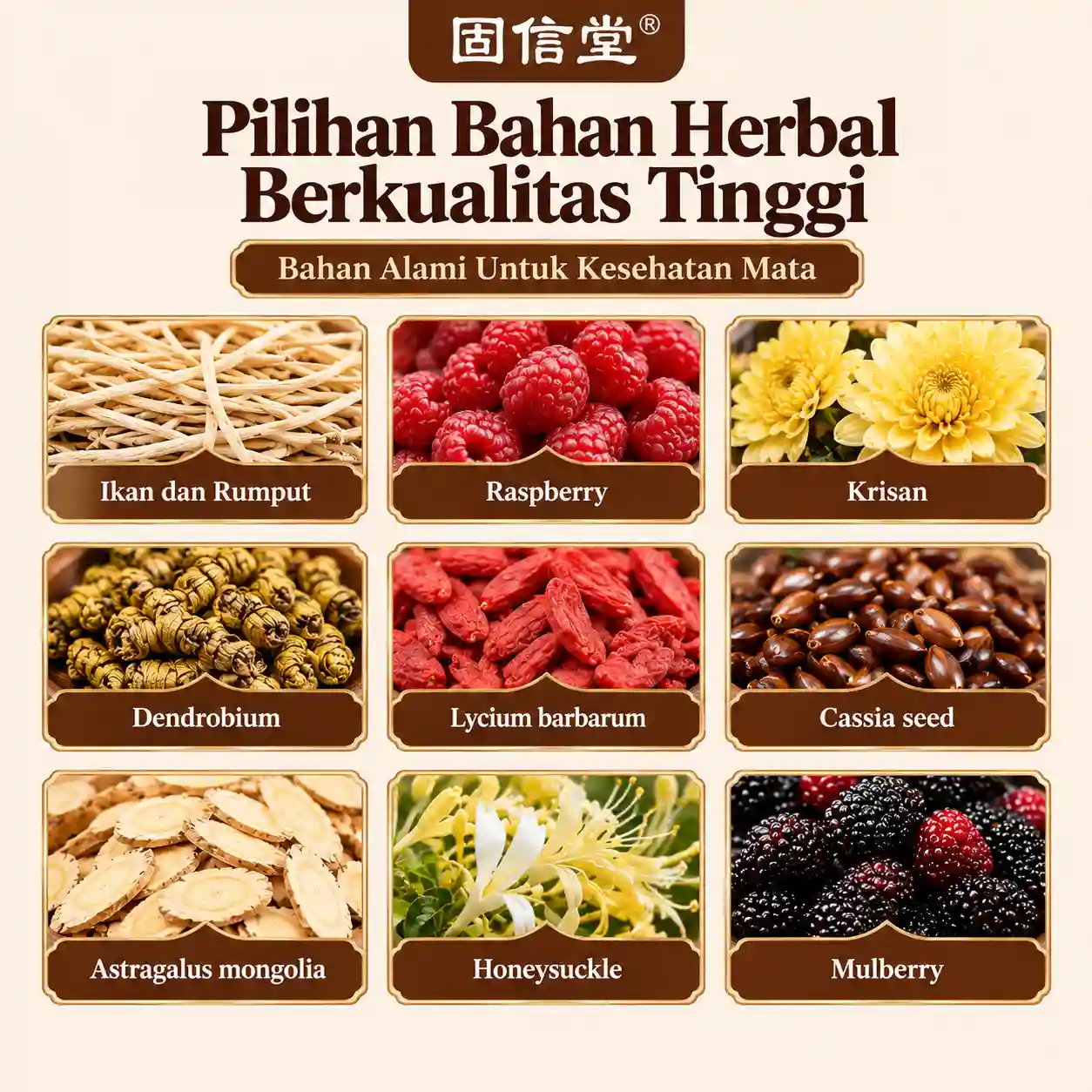 Guxintang Tea Herbal Slide 4